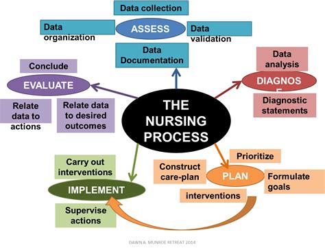 Stages Of Nursing Process at Darrell Day blog