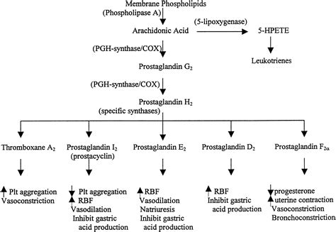 Aspirin Mechanism Of Action Flow Chart