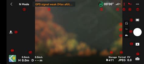 DJI Fly Tutorial 的图像结果