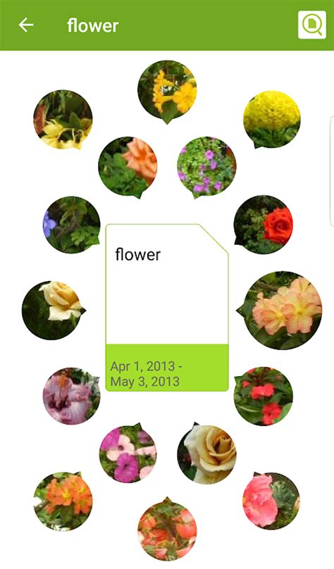 Image result for Memory Card Download