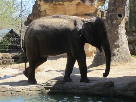 Image result for Spring Break 2016 Competition