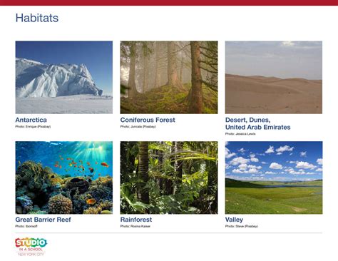 Image result for Habitat Example