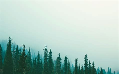 Unity Environmental University Publishes 10-Year NECHE Self-Study ...