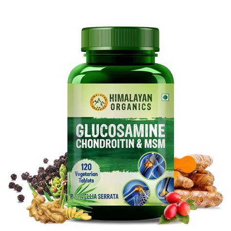 Himalayan Organics Glucosamine Chondroitin & MSM, 120 Tablets Price ...
