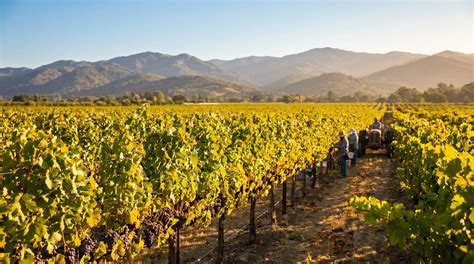 Napa Valley Weather Guide: Best Times to Visit and What to Expect ...