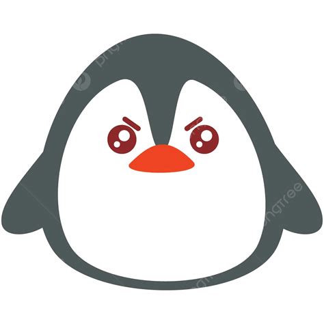 Image result for Python Learning Topics