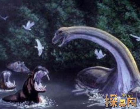 【大型远古恐龙写实舞台剧《重返侏罗纪》】-票虫网