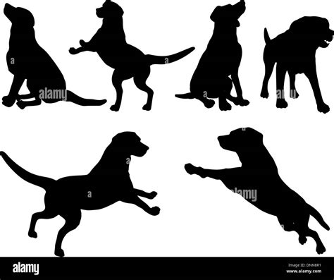 Canine leap Stock Vector Images - Alamy