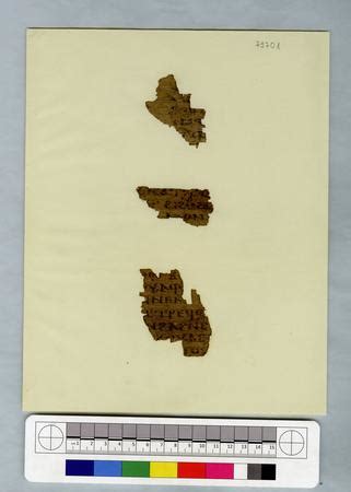 Image result for Codex Form