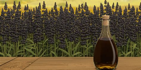 The Unique Health Benefits of Wood-Pressed Black Mustard Oil – Arth ...