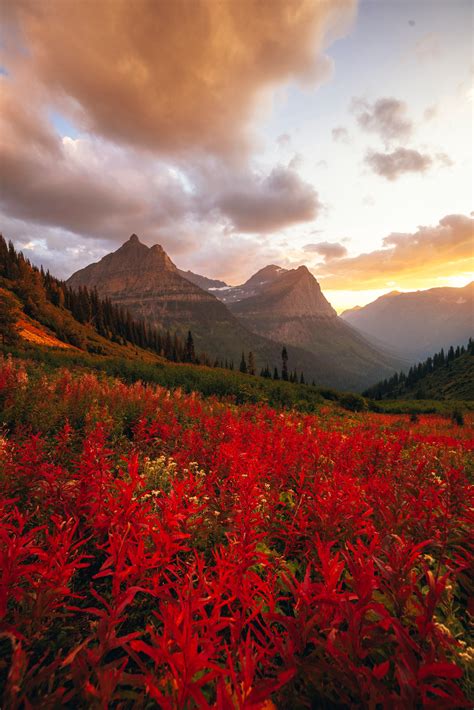 Escape To Paradise: Pennsylvania's Meadow Lake Campground Awaits!