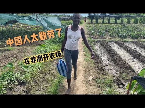 非洲中国农场里的当地女工们，管吃管住不到300人民币