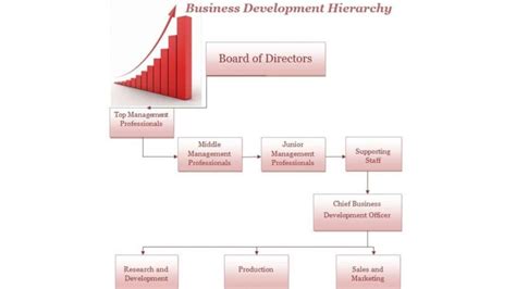 Business Development Hierarchy Structure 的图像结果