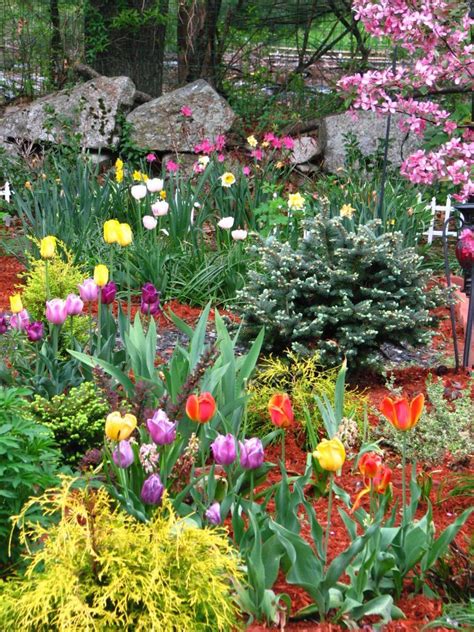我爱我家：花园趣事：后花园的设计与效果 - 由Myflock发表 - 文学城 | Plants, House