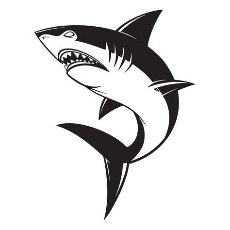 Shark Vector Logo CD-R File 的图像结果