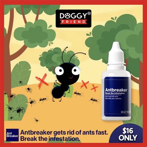 Antbreaker 30ml / PET SAFE Ant Killer / Ant Breaker / Liquid Ant Bait ...