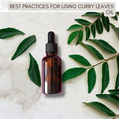 Curry Leaves for Hair Health: Natural Benefits and How to Use | Clinikally