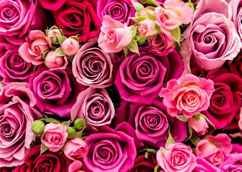 Mothers day Flowers and Bouquets