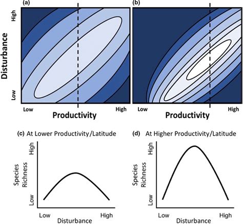 Image result for Dynamic Equilibrium Model
