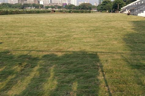 Turf Banquet & Lawns - Venue - Mahalaxmi - Weddingwire.in