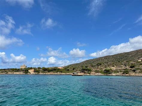 Asinara sailing school - Escursioni Asinara (Stintino) - 2021 What to ...