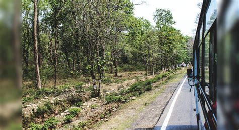 Dehradun-Nepal bus service begins operation | TimesTravel