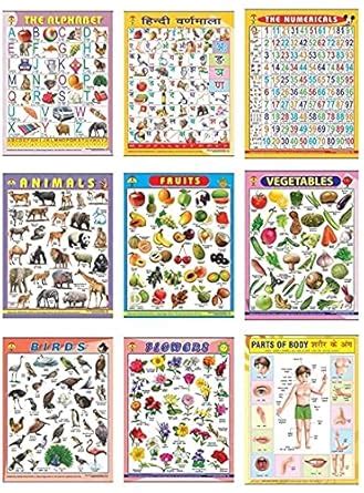 Educational Early Learning Wall Charts For Kids , Pack Of 9 Wall Charts ...