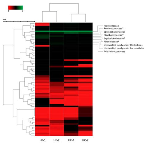 Diet Transition from High-Forage to High-Concentrate Alters Rumen ...