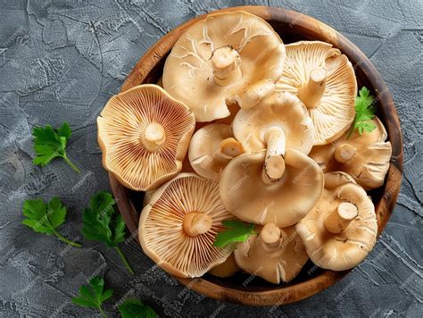 Premium Photo | Mushroom Oyster is a type of edible mushroom that belongs to the Pleurotus genus