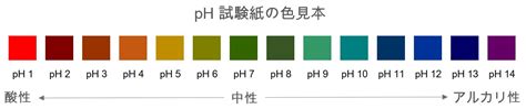 Image result for Python Program for Grade 6