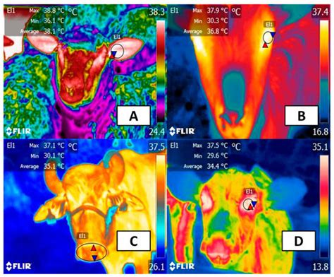 Utilization of Infrared Thermography in Assessing Thermal Responses of ...