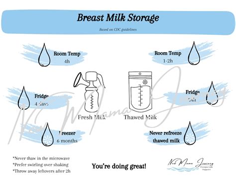 PRINTABLE Breast Milk Storage Guidelines - Etsy