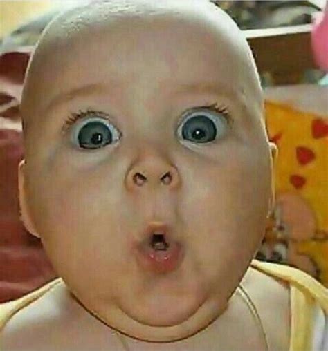 Pin de Vijay Kapoor en Cute animals