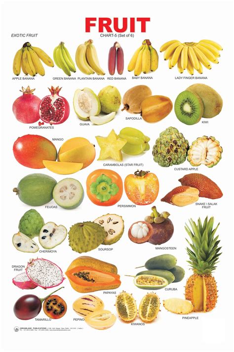 List Of Fruits And Their Colours - Free Printable Worksheet