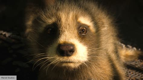 Guardians of the Galaxy Vol 3 - Batch 89 explained