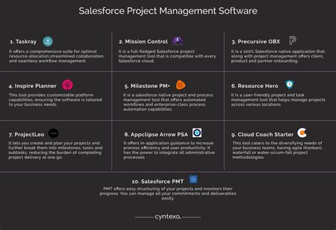 Image result for Salesforce Project Management Software