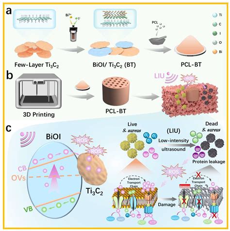 Ultrasound-Activated BiOI/Ti3C2 Heterojunctions in 3D-Printed ...
