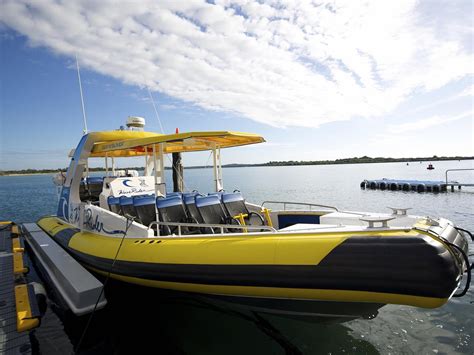 PORT JET CRUISE ADVENTURES - All You Need to Know BEFORE You Go 2026 ...