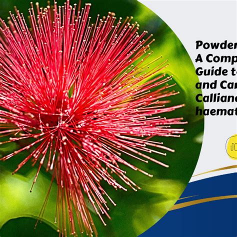 Best Gardening Tips | News and Care — Tagged "pests" — Mahindra Nursery