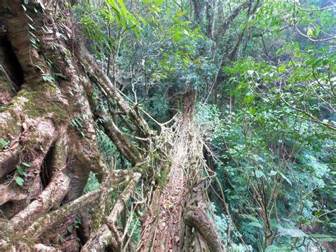 Pynursla Escapes | Go Somewhere