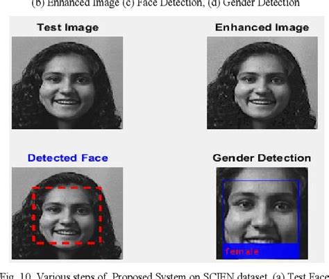 Gender Audio Classification Machine Learning Project 的图像结果