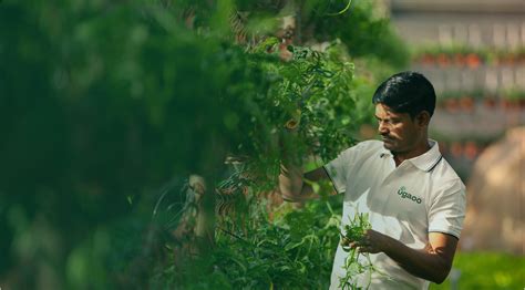 About Us - Know more about Ugaoo | An Initiative of Namdeo Umaji