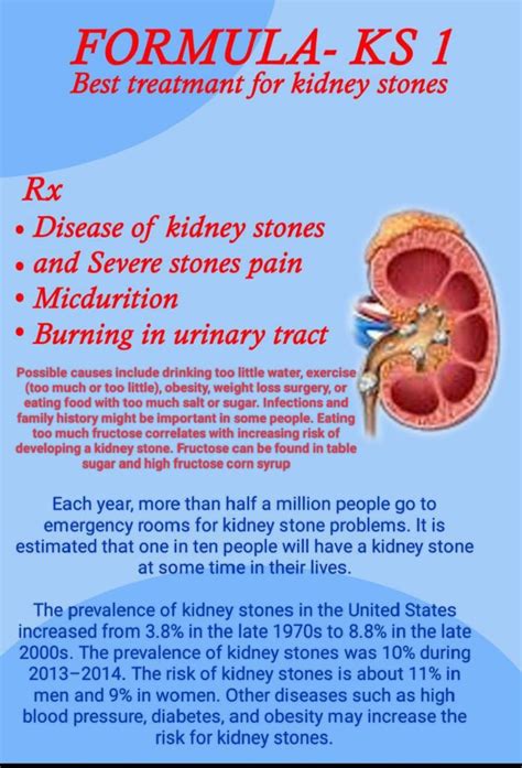 Buy Kidney Formula Ayurvedic Medicine for Kidney (Kidney Stones ...