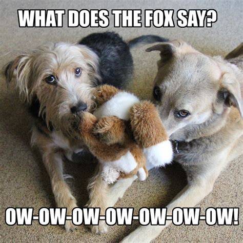 What Does The Fox Say Meme