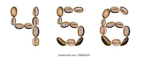 Image result for Five Basic Food Groups