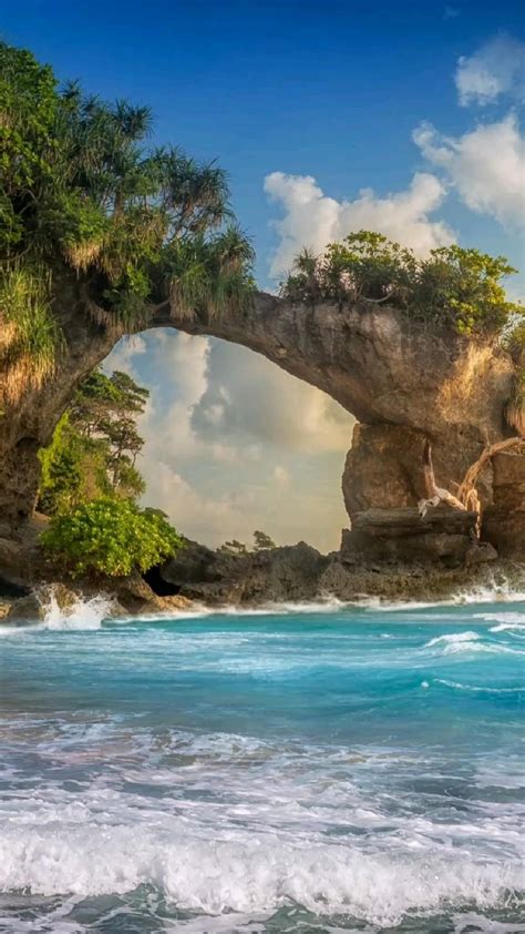Plan your trip to neil island shaheed dweep andamans – Artofit