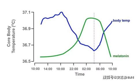 人体温为什么是37度，而不是27，47度？ - 知乎