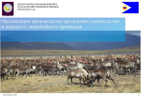 Оленеводство и морской зверобойный промысел - презентация онлайн
