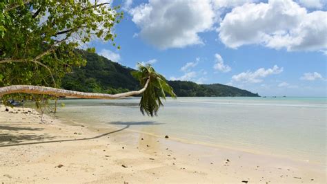 Beach "Anse à la Mouche" Mahé (Seychelles)