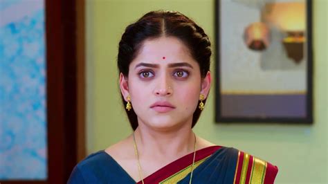 Paaru TV Serial Online - Watch Latest Show Episodes on ZEE5